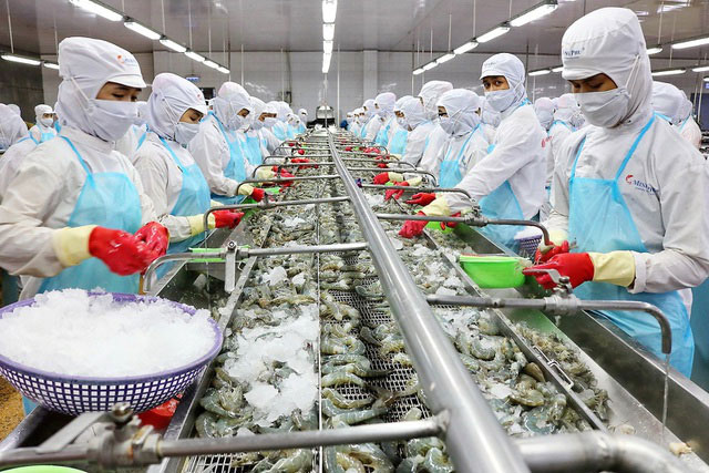 Tuyển gấp 06 nữ chế biến thủy sản đi xuất khẩu lao động tại Nhật Bản