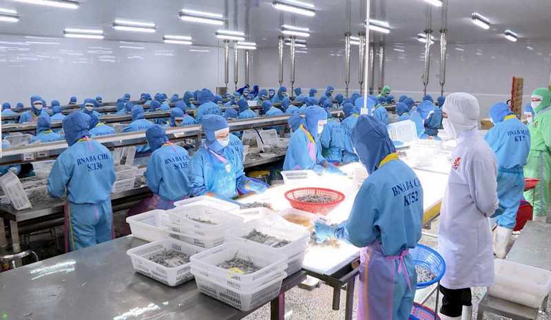 Tuyển gấp 06 nữ chế biến thủy sản đi xuất khẩu lao động tại Nhật Bản